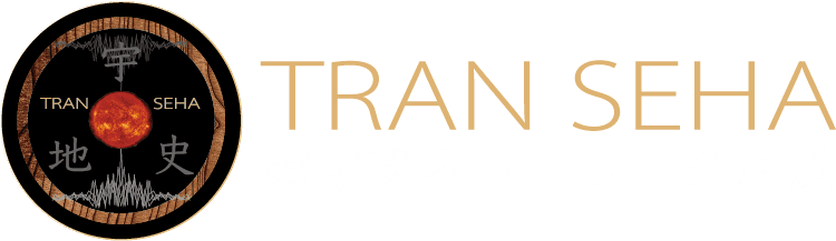 TRANSEHA 宇宙地球環境科学と歴史学・考古学を結ぶ超学際ネットワーク形成 | 学際領域展開ハブ形成プログラム